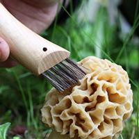 OPINEL - N.8 - Champignonzakmes Virobloc Naturel - thumbnail