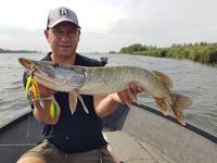 Rozemeijer Dr. Bait Junior 20Gr Spinnerbait Speckled Hot Pike SHP - thumbnail