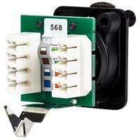 Neutrik NE8FDV-YK-B RJ45-dataconnector etherCon D-serie NE8FDV-YK-B Bus, recht NE8FDV-YK-B Aantal polen: 8P8C Zwart 1 stuk(s) - thumbnail