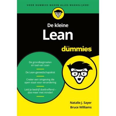 Natalie J.  Sayer & Bruce  Williams Voor Dummies   De kleine Lean voor Dummies