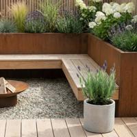 Lavandula stoechas 'Anouk' - Kuiflavendel - P10.5 - thumbnail