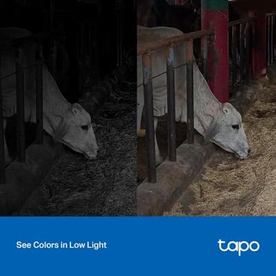 TP-Link Tapo C320-WS