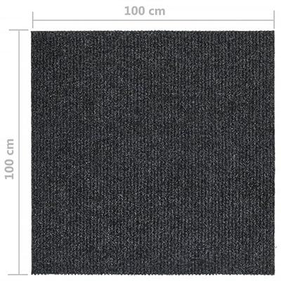 Droogloopmat 100x100 cm antracietkleurig