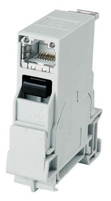 Telegärtner 100007436 Draagrailconnector RJ45 Bus, inbouw Aantal polen: 8P8C Lichtgrijs 1 stuk(s)
