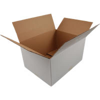 Amerikaanse vouwdoos | golfkarton | 250x180x100mm | enkele golf | wit | 25 stuks - thumbnail