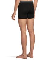 Icebreaker Merino 150 Anatomica Onderbroek Heren Black M - thumbnail