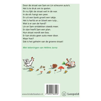 WPG Uitgevers Het geheim van de groene straat (avi-e3)