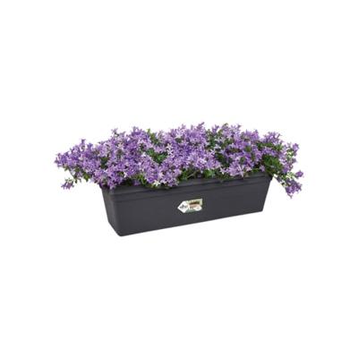 Elho green basics balkonbak 80 cm living black