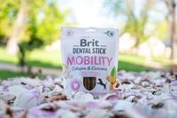 Brit voer volwassenen 251 g - thumbnail