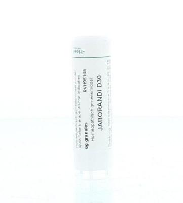 Homeoden Heel Jaborandi D30 6 Gram Homeoden Heel Jaborandi D30 6 Gram