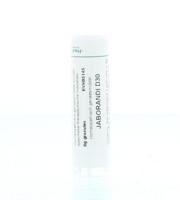 Homeoden Heel Jaborandi D30 6 Gram - thumbnail