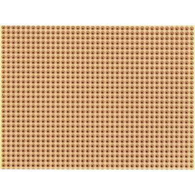 Rademacher WR-Typ 811-2 Printplaat Hardpapier (l x b) 100 mm x 75 mm 35 µm Rastermaat 2.54 mm Inhoud 1 stuk(s)