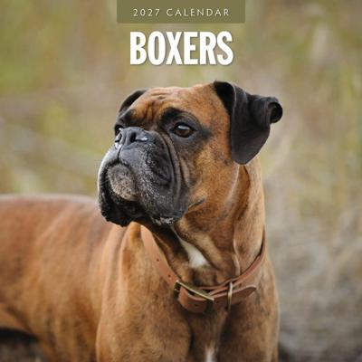 Boxer Kalender 2027