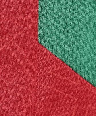 PUMA Marokko Thuisshirt 2024-2026