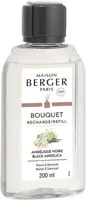 Maison Berger Paris navulling parfumverspreider black angelica 200 ml - thumbnail