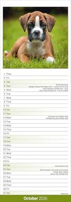 Boxer Slim Calendar 2026 Dog Breed Slimline Calendar - 12 Month