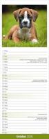 Boxer Kalender 2026 Slimline - thumbnail