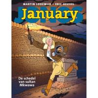 De schedel van sultan Mkwawa - Martin Lodewijk - Hardcover (9789088861147) - thumbnail