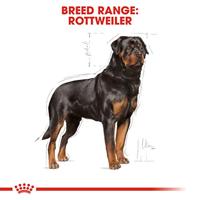 Royal Canin Rottweiler Adult hondenvoer 12kg (LET OP: BREUKZAK) - thumbnail
