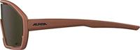 Alpina Bonfire Q-Lite - Sports Glasses - thumbnail