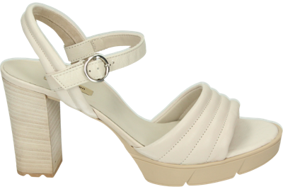 Paul Green 7928 - alle