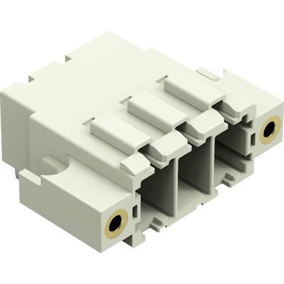 WAGO 831-3623/108-000 Female connector 24 stuk(s)