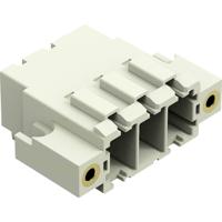 WAGO 831-3623/108-000 Female connector 24 stuk(s) - thumbnail