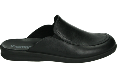 Westland BELFORT 20 - alle Westland BELFORT 20 - alle