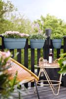 Elho Vibia Campana Small Hangpot blauw - thumbnail