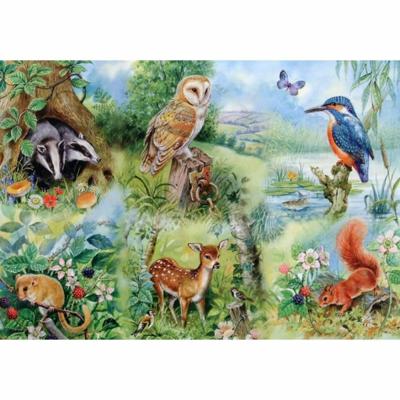 Nature Study Puzzel 250 Stukjes XL
