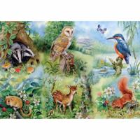 Nature Study Puzzel 250 Stukjes XL - thumbnail