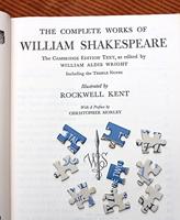 UPG Puzzel - Shakespeareaanse Beledigingen - thumbnail