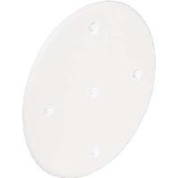 Kaiser Elektro 1184-90 Blinde afdekking (Ø) 92 mm 1 stuk(s) - thumbnail