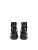 Ara 1229512 - alle - thumbnail