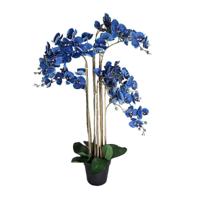 Phalaenopsis Orchidee in pot 110 cm Blue kunstplant Buitengewoon de Boet - Buitengewoon de boet - thumbnail