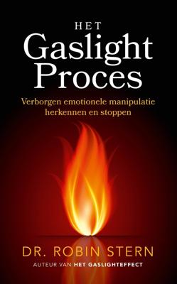 Het gaslightproces - Robin Stern - ebook