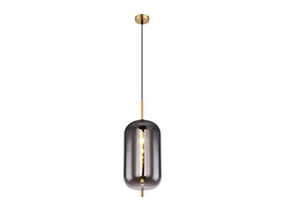 Globo Gouden hanglampBlacky I enkel Ø 22cm - 15345H2MM