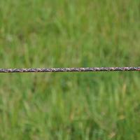 Gallagher Duopack TurboLine cord terra 2x200m - 069309 069309 - thumbnail