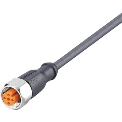 ifm Electronic EVM068 Aansluitkabel Aantal polen (sensoren): 5 Bus, recht 2 m 1 stuk(s)