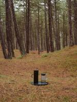 Stelton EM77 Waterkan 1.5L smoke - thumbnail