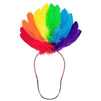 Tiara regenboog - thumbnail
