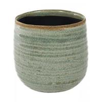 Iris mint bloempot binnen 14x12 cm - thumbnail