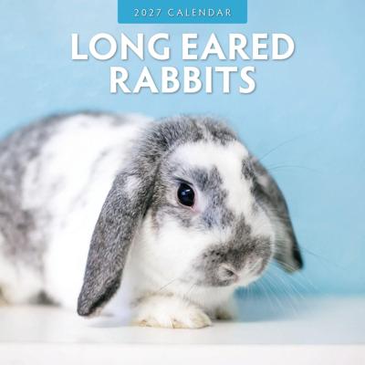 Hangoor Konijnen Kalender 2027