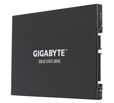 GIGABYTE   GP-GSTFS30256GTTD - Solid state drive - 256 GB - intern -