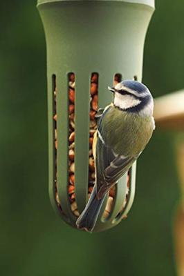 SingingFriend Max Vogelvoeder