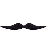 Snor zwart Dali - thumbnail