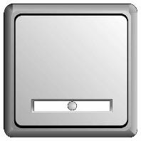 ELSO-toets 502110 10 A verlicht RENOVERING pw 1 stuk(s) ELSO-toets 502110 10 A verlicht RENOVERING pw 1 stuk(s)