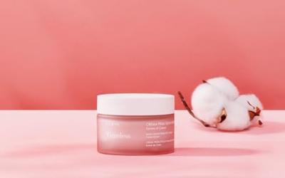 Pupa Milano - Pupa Timeless Early Signs Prebiotic Cream 50 ml