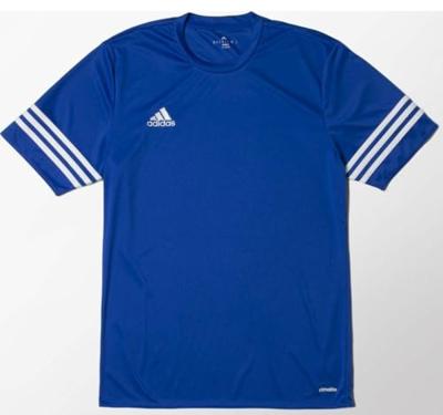 Adidas jersey Entrada 14