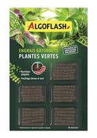 Meststofsticks - ALGOFLASH - Groene planten - 30 sticks - UAB - thumbnail